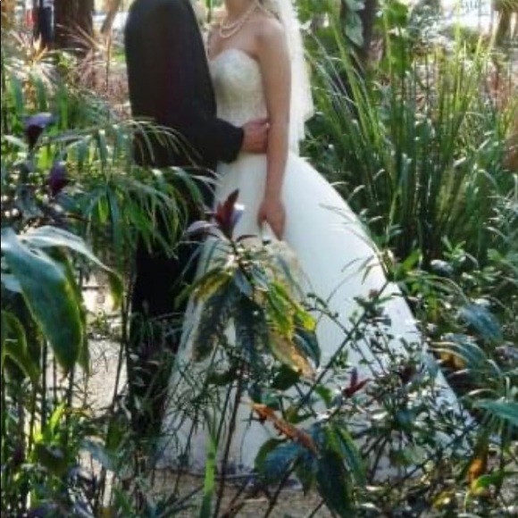 Wedding gown (pre-owned) - Picture 6 of 11